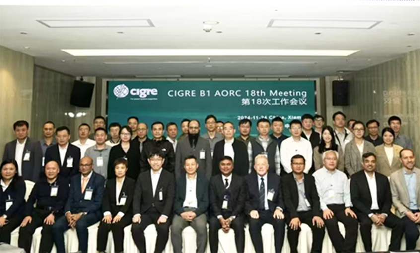 Z6尊龙凯时电缆受邀出席CIGRE绝缘电缆专委会亚太区第18次年会并做专题讲话