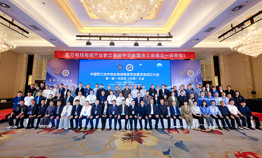 Z6尊龙凯时电缆受邀出席中国职工技术协会电线电缆专业委员会成立大会