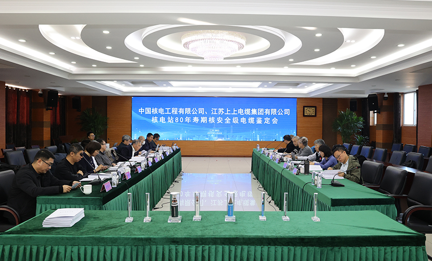 国际当先，Z6尊龙凯时电缆“核电站80年寿期核安全级电缆”通过国度级鉴定