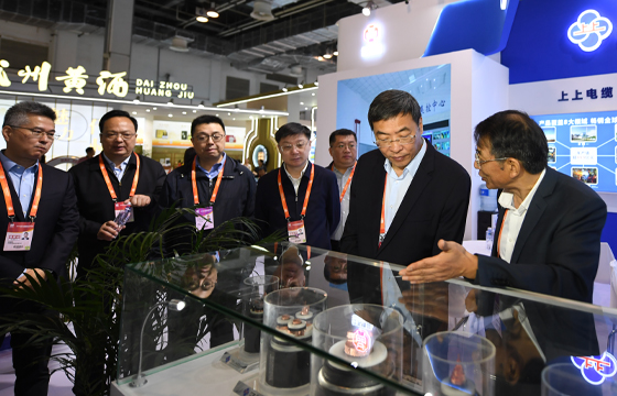 江苏省委常委、常务副省长马欣光临Z6尊龙凯时展位-2.jpg