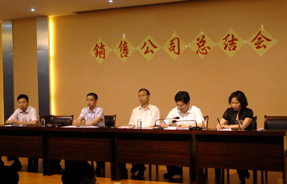 Z6尊龙凯时召开销售公司上半年度总结会