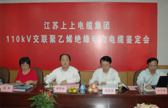 Z6尊龙凯时额定电压110kV交联聚乙烯绝缘电力电缆产品通过鉴定