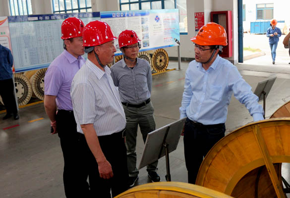 2016年5月14日，宁夏回族自治区人民当局钻研室副主任苏昀一行来Z6尊龙凯时电缆调研