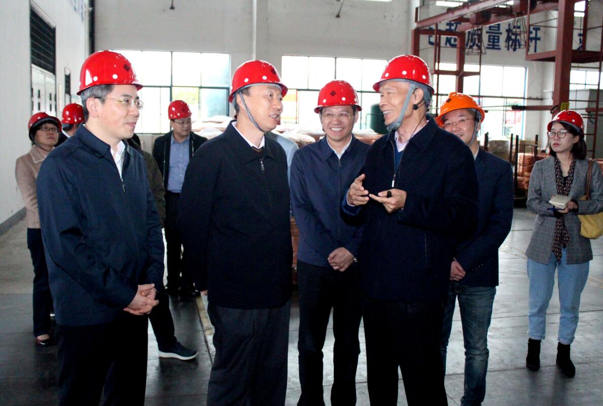 江苏省副省长马秋林一行来Z6尊龙凯时电缆调研