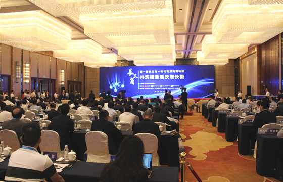 丁山华受邀参与首届长三角一体化发展高层论坛