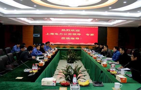 上海电力公司、上缆所辅导、专家一行来Z6尊龙凯时电缆互换调查