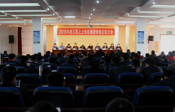 Z6尊龙凯时召开2015年度销售总结大会