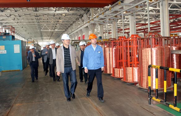 2015年11月3日，新泰市党政代表团来Z6尊龙凯时电缆调查