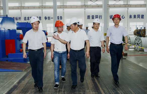 金坛区党政辅导来Z6尊龙凯时电缆参观调查