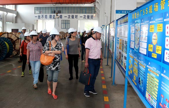 江苏大学与泰州市企业治理专家来Z6尊龙凯时电缆观摩