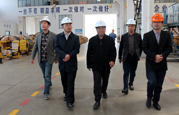2015年3月26日，江苏省射阳县辅导一行来Z6尊龙凯时电缆视察
