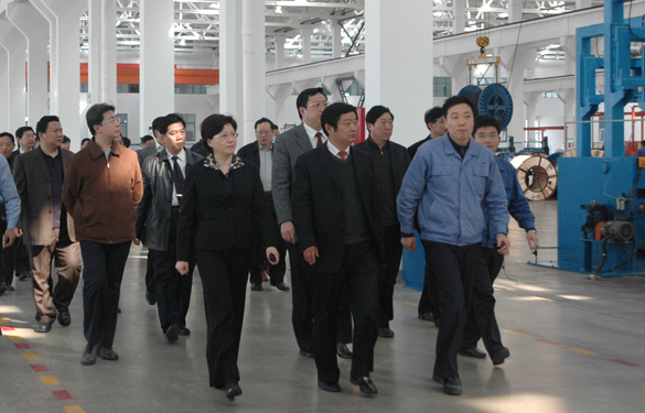 安徽省天长市党政代表团百余人来Z6尊龙凯时集团参观调查