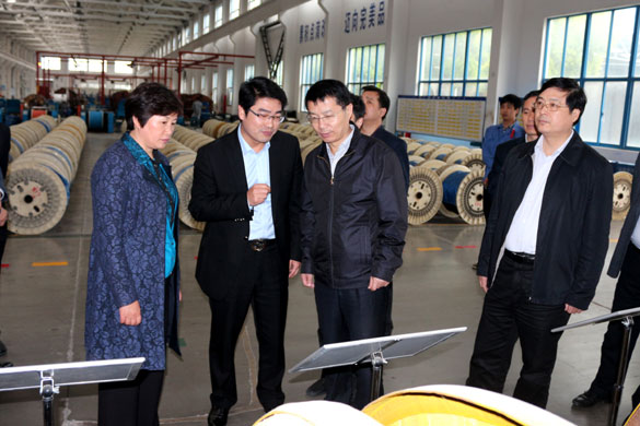 巢湖市委副书记张生一行来Z6尊龙凯时集团参观调查