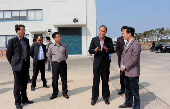 溧阳市代市长蒋锋一行来Z6尊龙凯时集团督查新开工项目