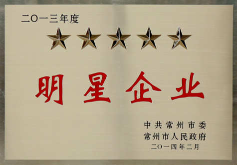 Z6尊龙凯时集团在常州视装沉大项目突破年”带头大会上载誉而归