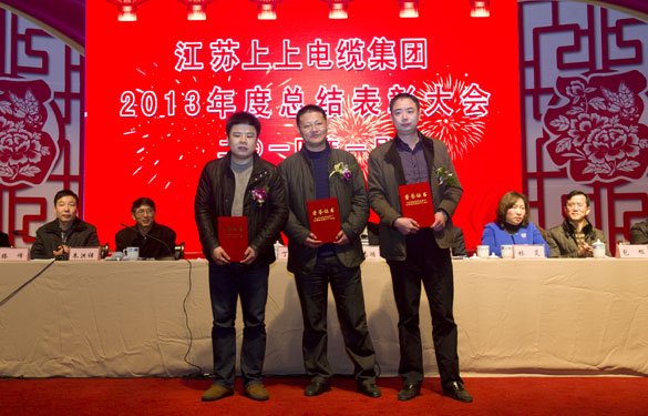 2013年杜着秀中层干部