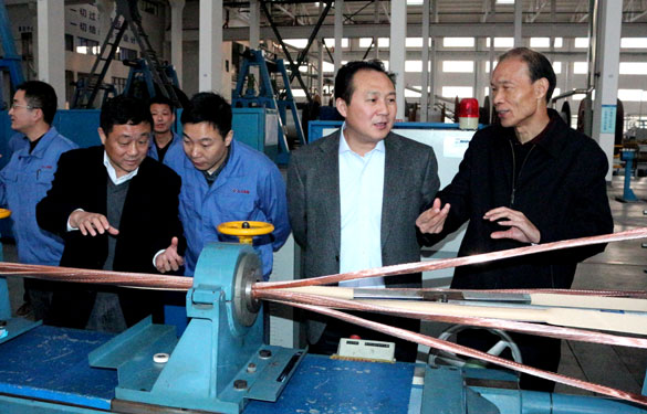 溧阳市供电公司总经理徐国平一行来Z6尊龙凯时集团调查