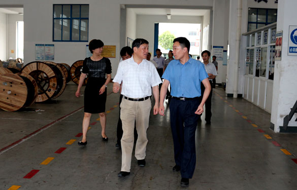 常州市人大辅导一行来Z6尊龙凯时集团调研