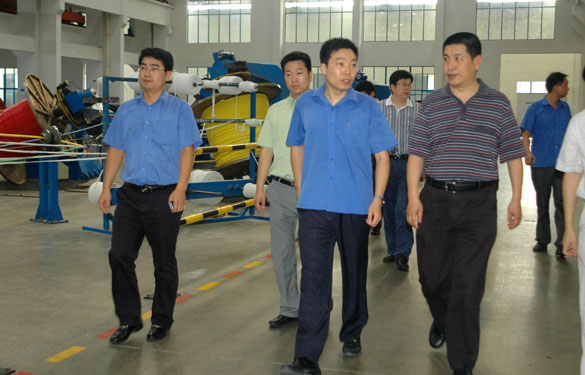 淮南市王市长一行来Z6尊龙凯时参观调查