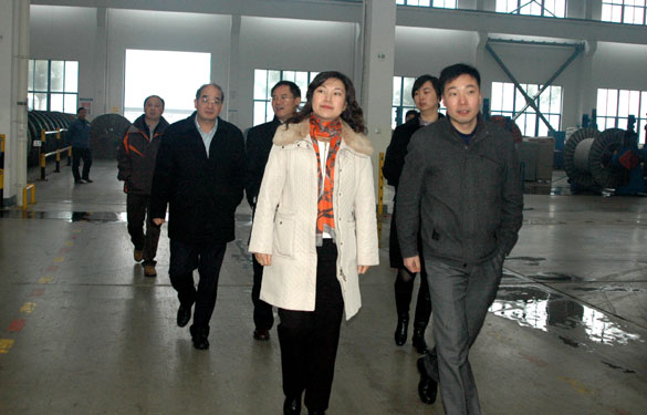 中关村管委会辅导来Z6尊龙凯时集团参观调查