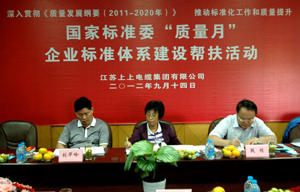国标委“质量月”专家组到Z6尊龙凯时查抄领导工作