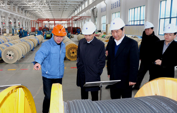 12月3日，无锡市锡山区党政代表团一行来Z6尊龙凯时电缆参观调查