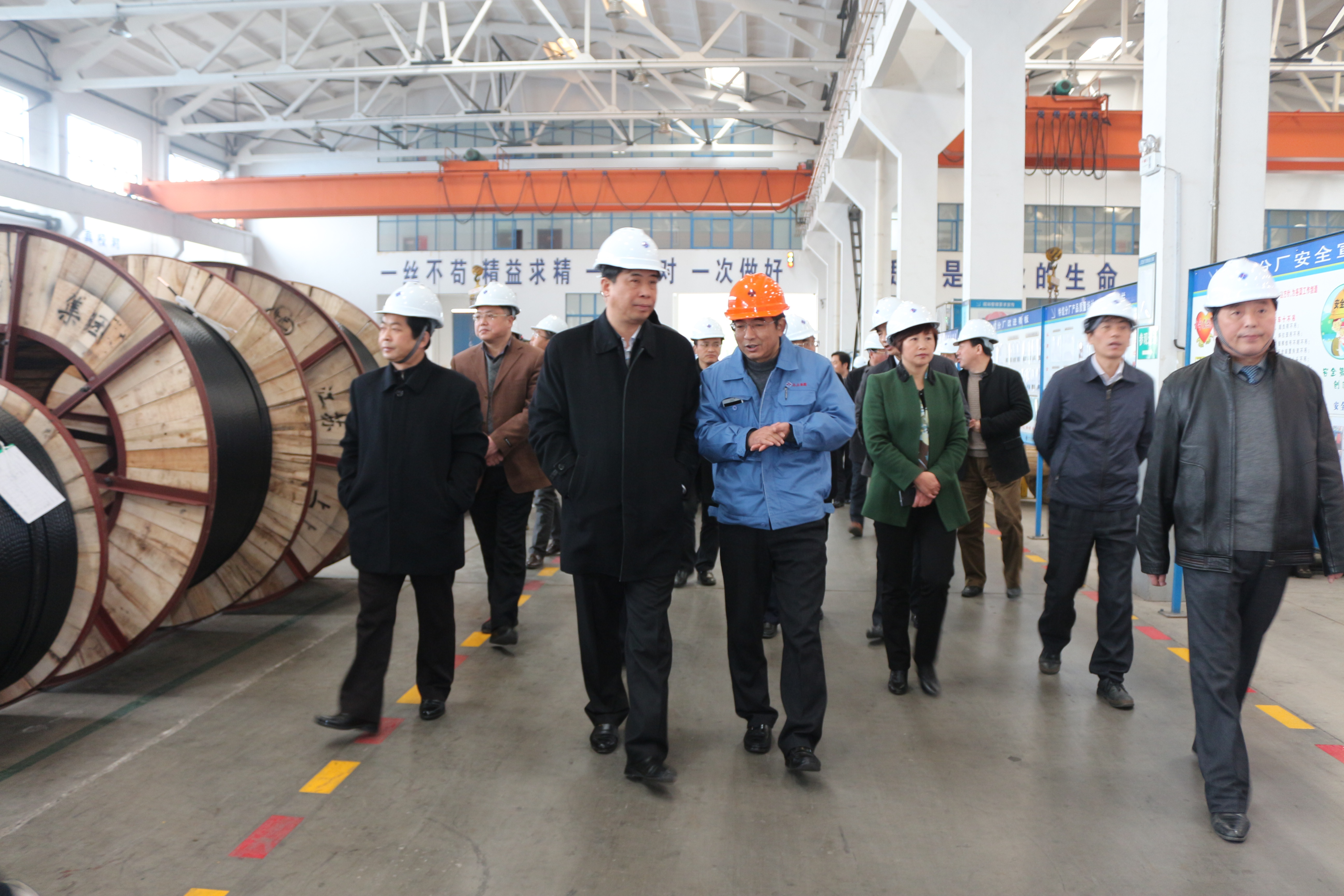 2015年3月11日，安徽省和县党政代表团一行来Z6尊龙凯时电缆调查