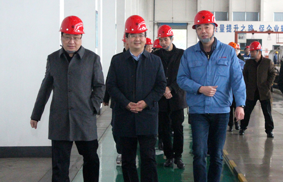 2020年12月8日，广德市市委常委、常务副市长邱铁军一行来Z6尊龙凯时电缆调查