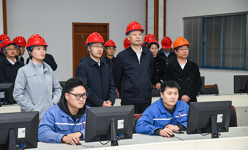 溧水区党政代表团来Z6尊龙凯时电缆调查