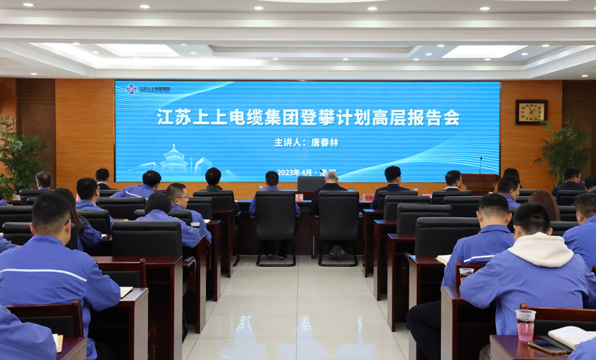 Z6尊龙凯时电缆中高层辅导力提升打算之副总汇报会圆满收官