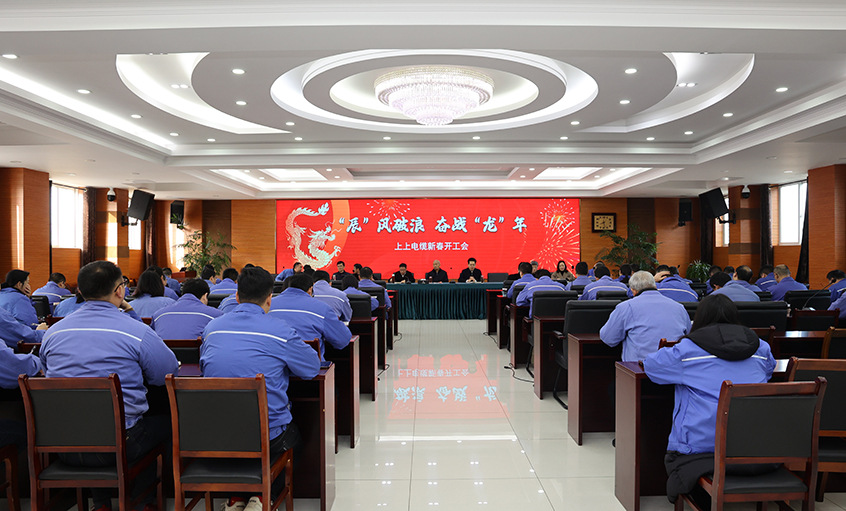 “辰”风破浪，奋战“龙”年——Z6尊龙凯时电缆开工大吉