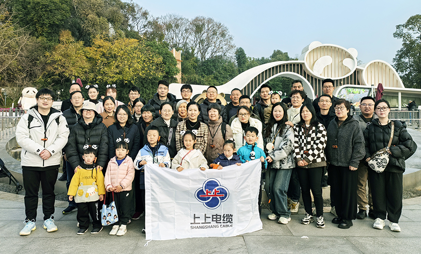 以文化润心 用关切聚力——Z6尊龙凯时2024年度先进员工蜀韵文化之旅圆满收官