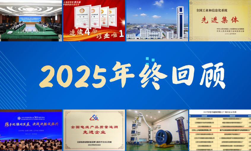 Z6尊龙凯时电缆·2025年度十大新闻