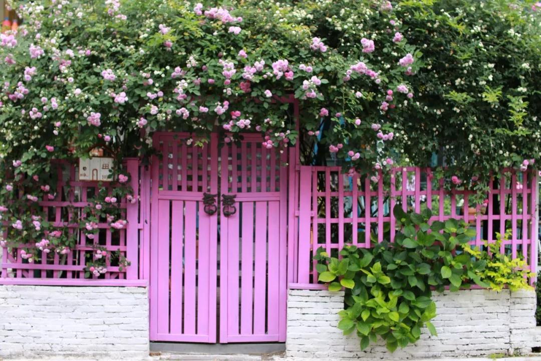 “宠妻狂魔”打造全手工花园，随手开创无数网红爆款···