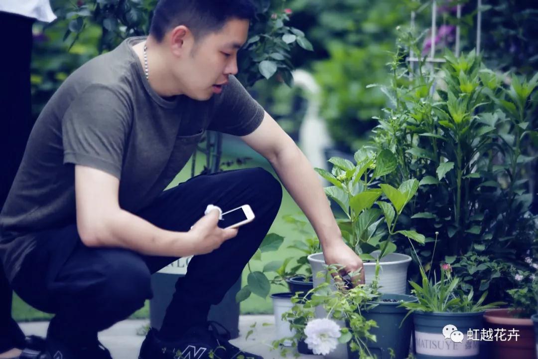 史上最硬核花园主，是怎样拿下三年绣球比美冠军的？