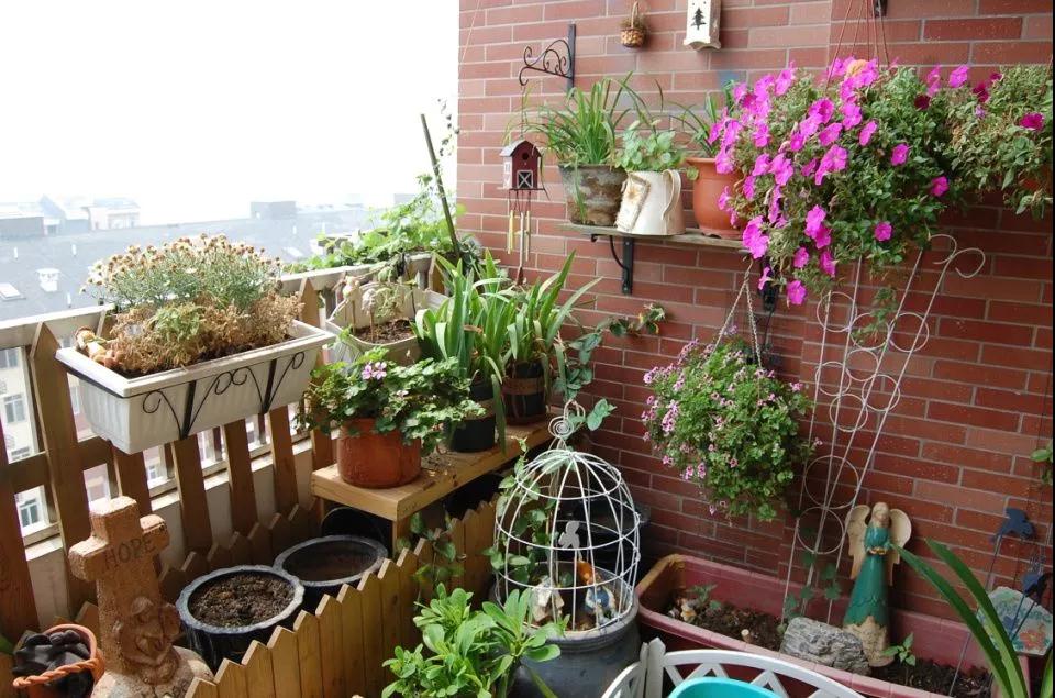 什么技巧可以让“伪花痴”快速进阶为园丁达人？