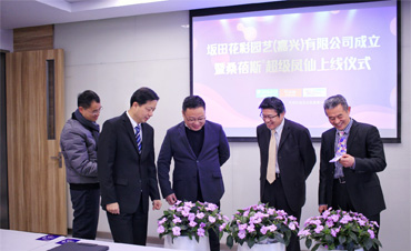 官宣 | 坂田花彩园艺（嘉兴）有限公司建设，桑蓓斯新品首发上线！