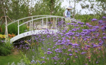 第10届花博会，pg电子喜获11项大奖！