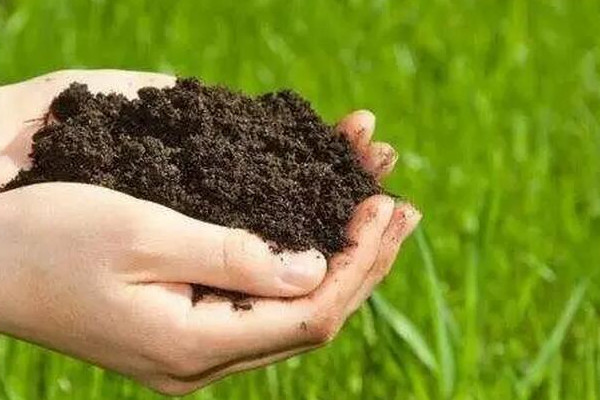 离别化肥农药，别人的“生态花园”是怎样养成的