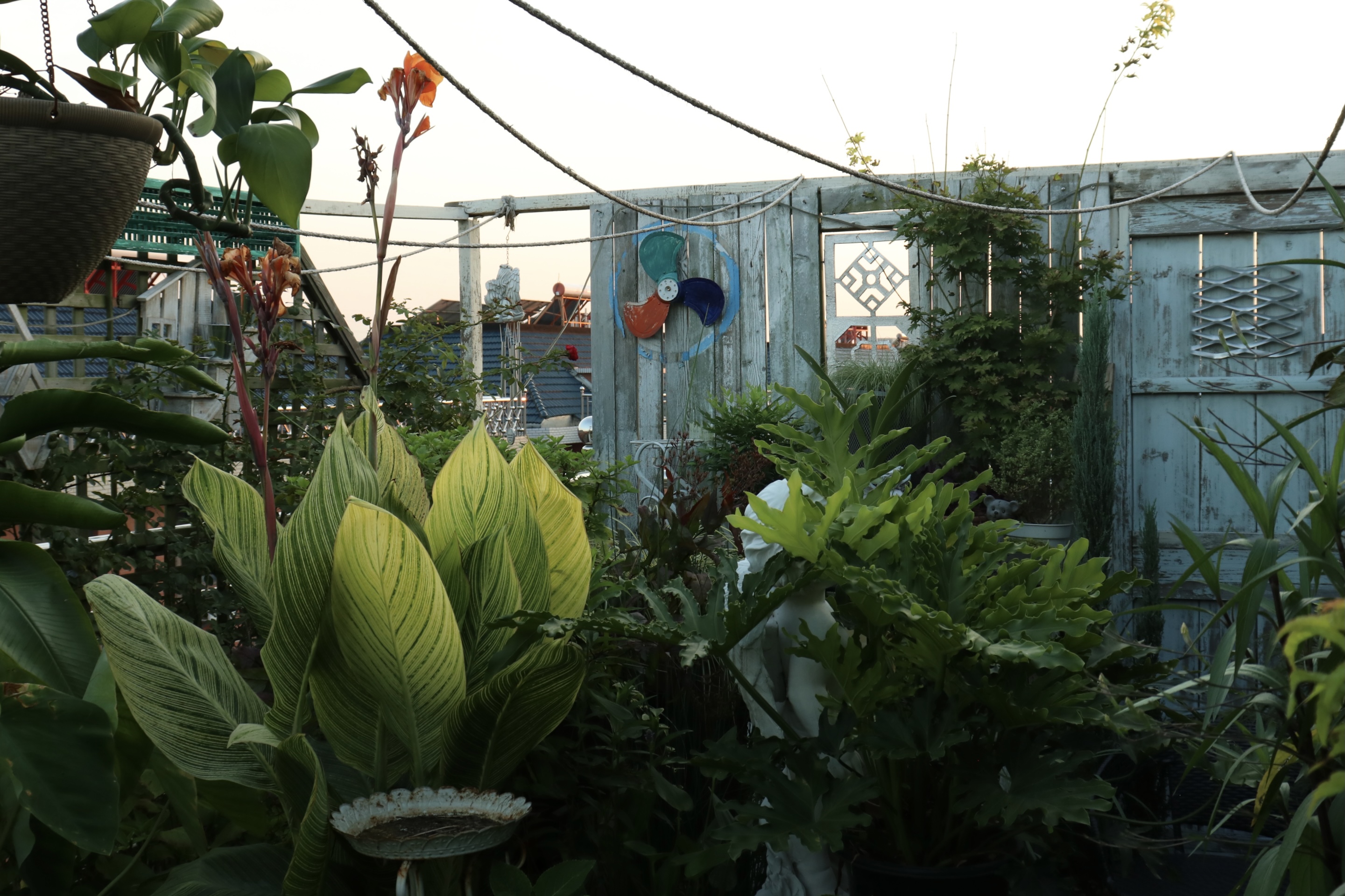 0元爆改水泥天台，能手竟在我身边？！