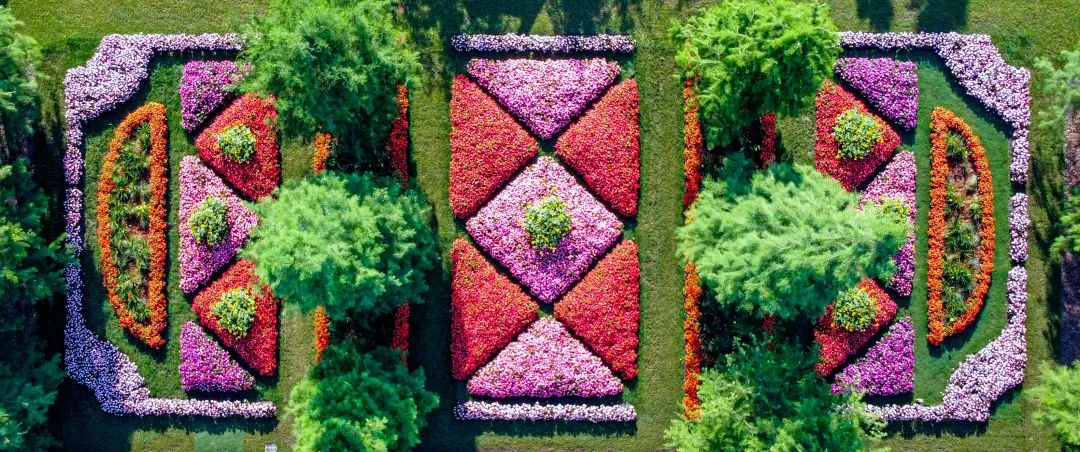 从南方美到北边的桑蓓斯，众望所归，惊艳天下！