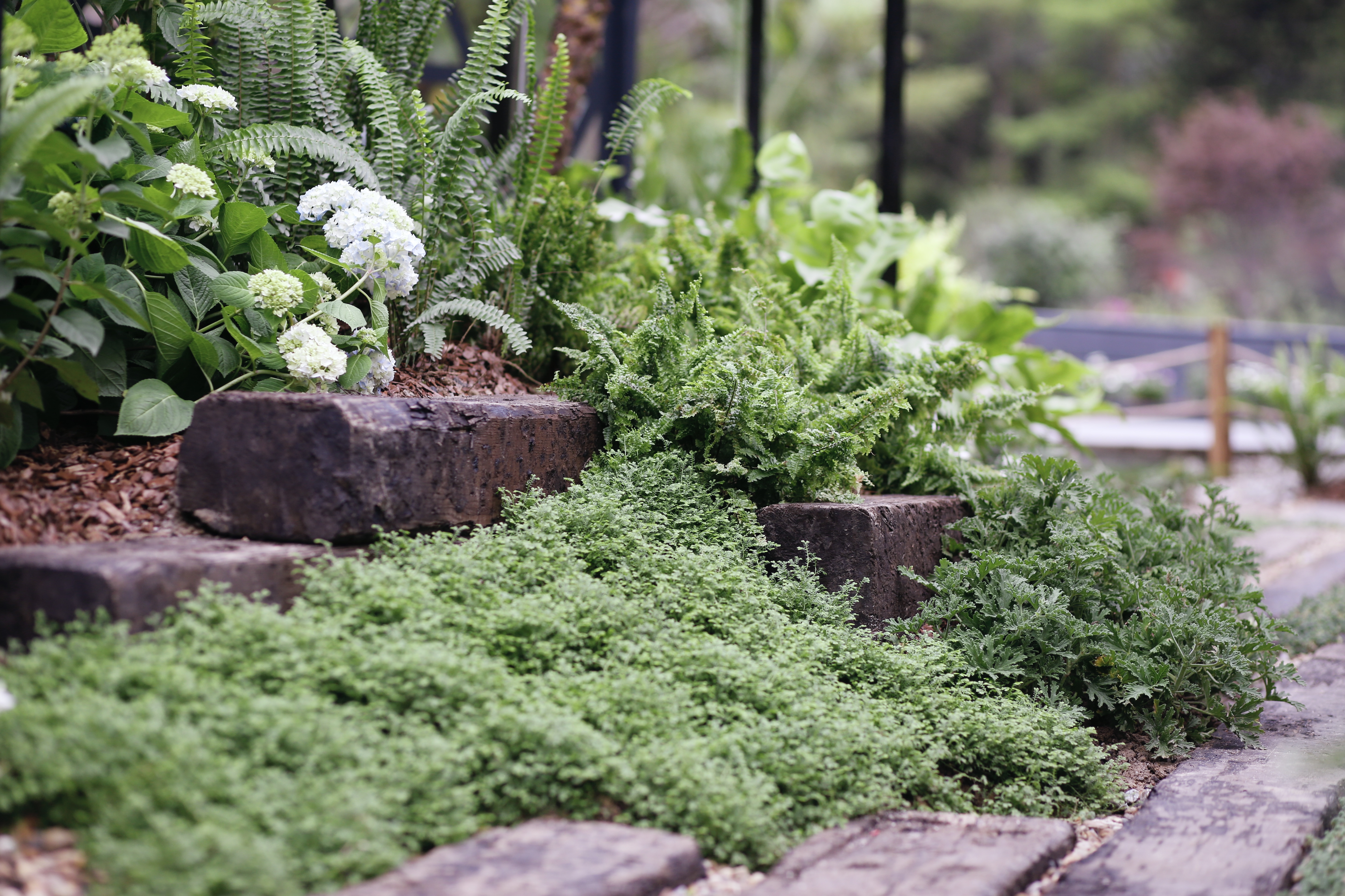 8座刷爆朋侪圈的国际设计师花园，翻开生涯新方法！