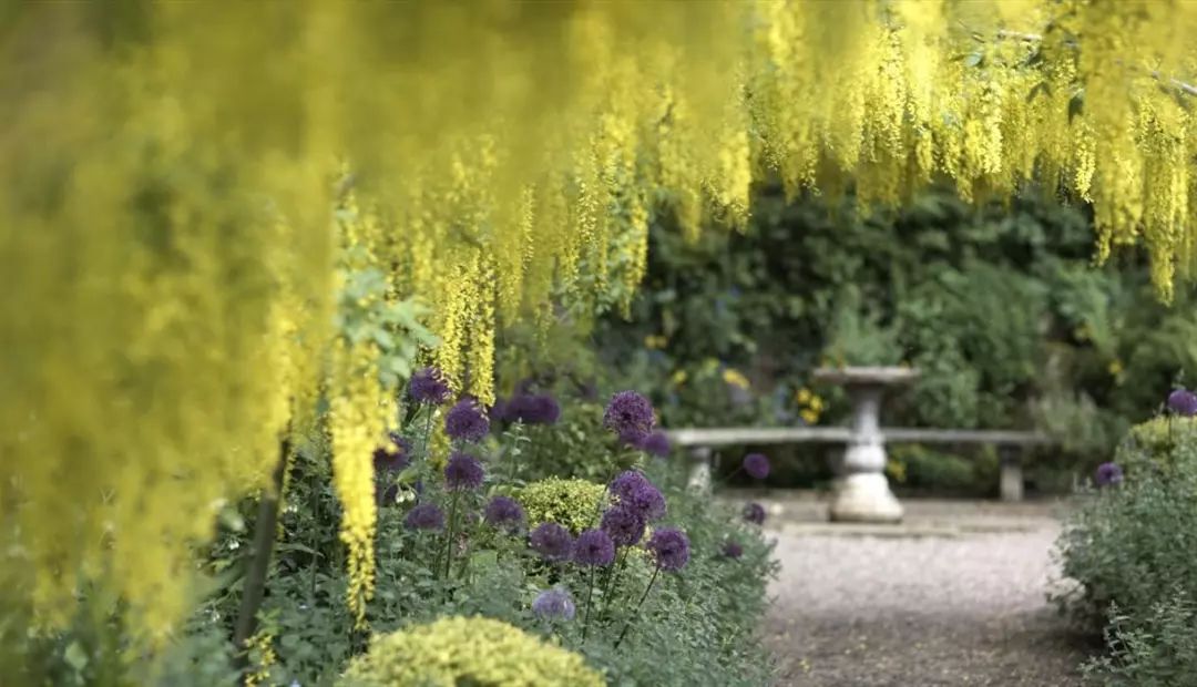 他为妻子打造最美坡地花园，惊艳天下80年