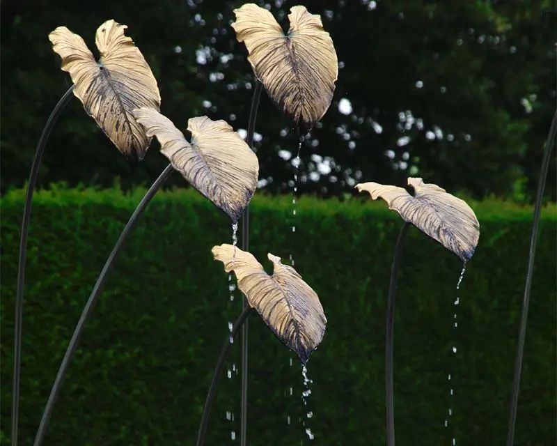 最可爱的百年墟落花园！传承三代，熠熠生辉