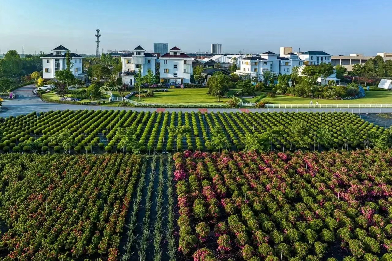 过年不打烊！pg电子线上零售渠道营业安排通知！