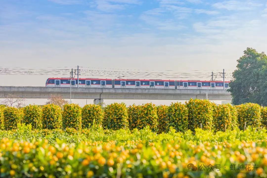 3月又有新花展！尚有园艺大咖齐聚，解锁漂亮生涯新方法